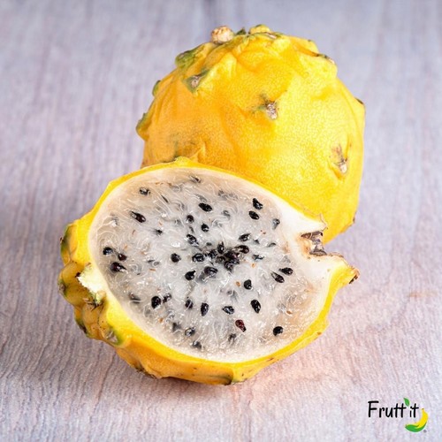 Talea pitaya gialla - di,
