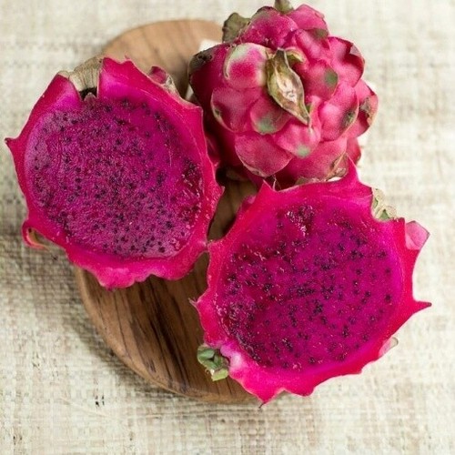 Talea pitaya rosso - rosso, rossa