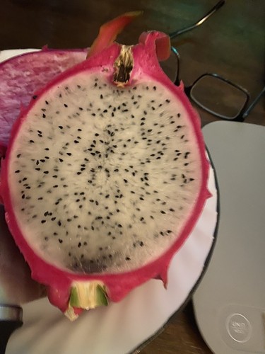 Talee frutto drago pitaya - talee,