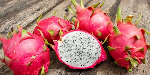 Talea pitaya rosso - talea,